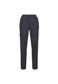 Regatta - Damskie Spodnie Z Odpinanymi Nogawkami Mountain Zip Off. Kolor: szary. Sezon: lato. Sport: turystyka piesza #1
