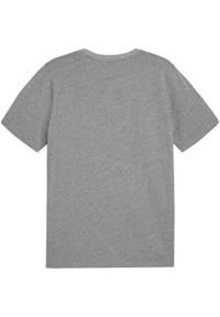 Koszulka sportowa męska Puma Team Goal Casuals. Kolor: szary. Materiał: bawełna. Długość rękawa: krótki rękaw. Długość: krótkie