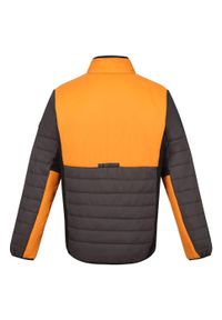 Regatta - Męska Kurtka Halton VII Contrast Panel Baffled Padded Jacket. Kolor: wielokolorowy, pomarańczowy, szary