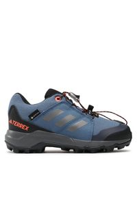 Adidas - adidas Trekkingi Terrex GORE-TEX Hiking IF5705 Niebieski. Kolor: niebieski. Materiał: materiał. Technologia: Gore-Tex. Model: Adidas Terrex. Sport: turystyka piesza #1