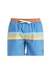 Quiksilver - Szorty kąpielowe dla Mężczyzn EVERYDAY STRAIGHT 15" Niebieski. Kolor: fioletowy, wielokolorowy, żółty. Materiał: poliester, materiał. Styl: sportowy