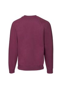 FRUIT OF THE LOOM - Męska Klasyczna Bluza Raglanowa. Kolor: czerwony, wielokolorowy, brązowy. Długość rękawa: raglanowy rękaw