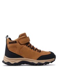 Trapery Sprandi. Kolor: brązowy #1