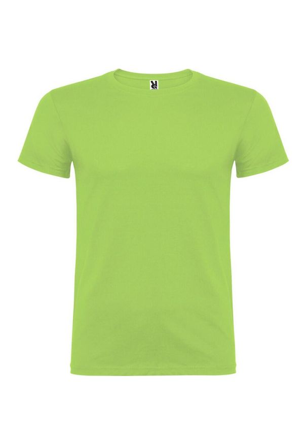 ROLY - Dziecięca Koszulka Z Krótkim Rękawem Beagle. Kolor: zielony. Długość rękawa: krótki rękaw. Długość: krótkie. Sport: turystyka piesza