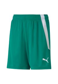 Spodenki dziecięce Puma Team Liga. Kolor: zielony, biały, wielokolorowy. Styl: sportowy