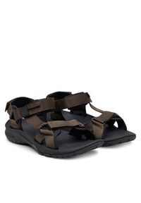 Jack Wolfskin Sandały Lakewood Ride Sandal M 4019021 Brązowy. Kolor: brązowy. Materiał: materiał #3