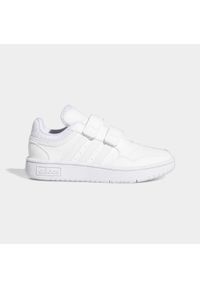 Adidas - Hoops Shoes. Kolor: biały. Sport: tenis