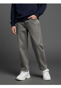 Sinsay - Jeansy baggy z efektem sprania - szary. Kolor: szary #1