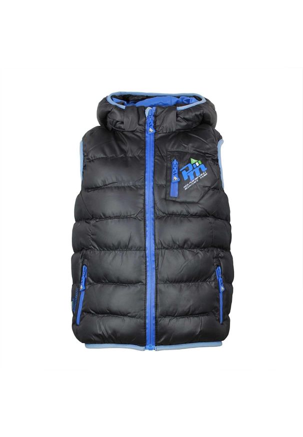 PEAK MOUNTAIN - Kamizelka narciarska dla dzieci Peak Mountain Ecarti. Kolor: czarny. Materiał: puch. Sezon: zima. Sport: narciarstwo