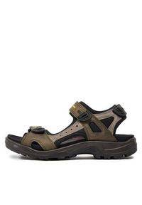 ecco - ECCO Sandały Offroad Yucatan Sandal 6956456396 Zielony. Kolor: zielony