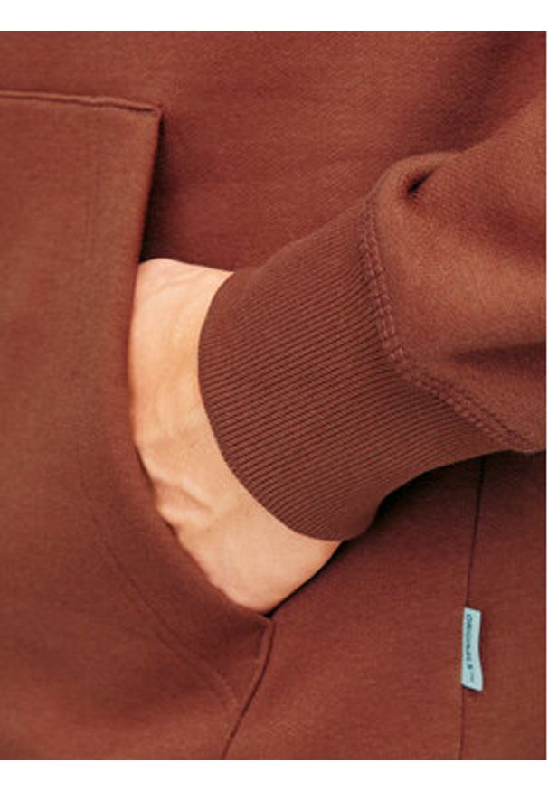 Jack & Jones Bluza 12262513 Brązowy Regular Fit. Kolor: brązowy. Materiał: syntetyk