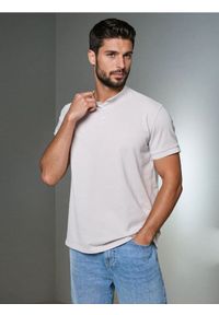 Sinsay - Bawełniane polo ze stójką - szary. Typ kołnierza: kołnierzyk stójkowy, polo. Kolor: szary. Materiał: bawełna #1