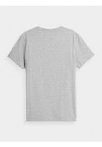 4f - T-shirt regular gładki męski. Kolor: szary. Materiał: bawełna, wiskoza. Wzór: gładki