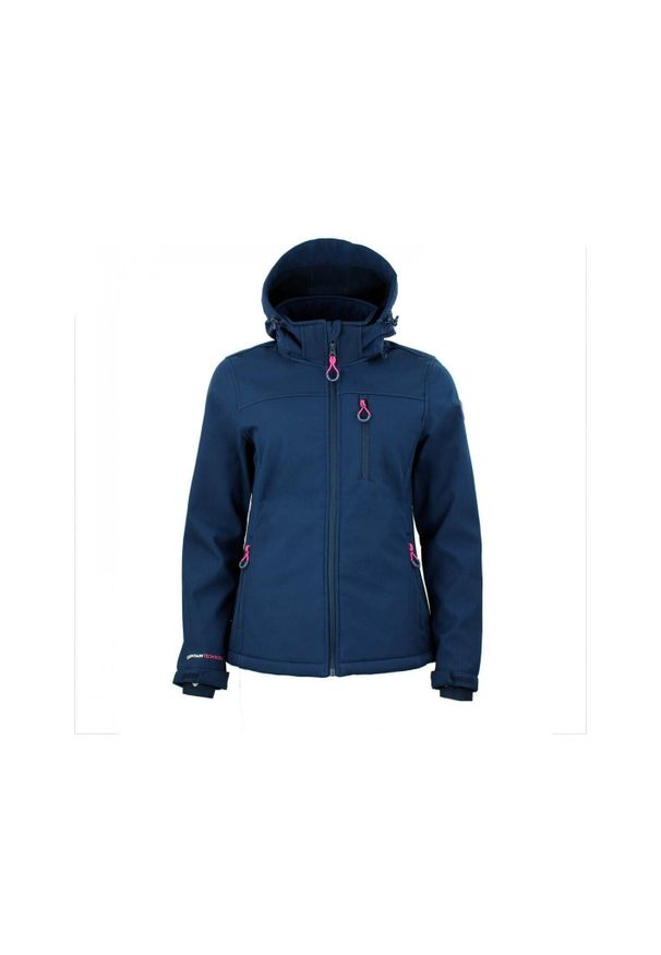 PEAK MOUNTAIN - Kurtka damska Peak Mountain Softshell Aclaudioffb. Typ kołnierza: kołnierzyk stójkowy. Kolor: szary, niebieski, wielokolorowy. Materiał: softshell. Sport: turystyka piesza