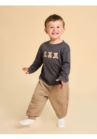 Sinsay - Cieplejsze spodnie z polarem w środku - brązowy. Kolor: brązowy. Materiał: polar #1