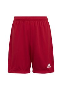 Adidas - Spodenki piłkarskie dla dzieci adidas Entrada 22. Kolor: czerwony. Styl: sportowy