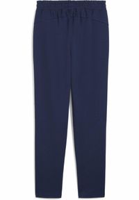 Puma - Męskie spodnie Portugalia Casuals PUMA Persian Blue Sunny Yellow. Kolor: żółty, wielokolorowy, niebieski
