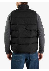 Kamizelka ocieplana męska Carhartt Loose Fit Montana Insulated Vest. Kolor: czarny. Sport: turystyka piesza