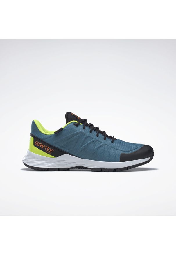 Buty męskie sportowe turystyczne trekkingowe Reebok ASTRORIDE TRAIL GTX. Kolor: biały, wielokolorowy, niebieski, czarny