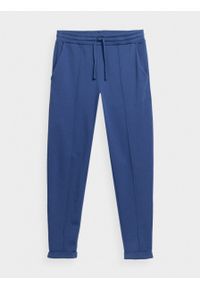 outhorn - Spodnie dresowe męskie - niebieskie. Kolor: niebieski. Materiał: dresówka