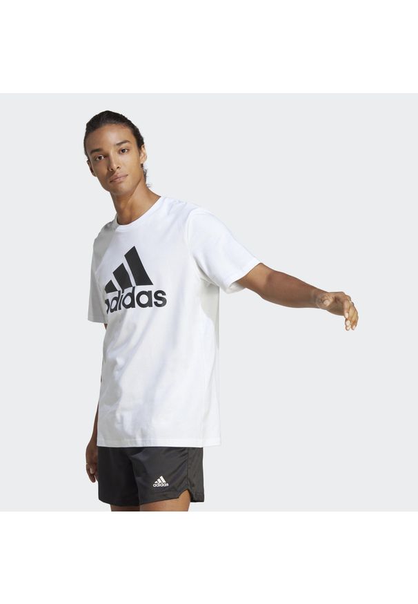Adidas - Koszulka męska adidas Essentials Single Jersey Big Logo Tee. Kolor: biały, wielokolorowy, czarny. Materiał: jersey