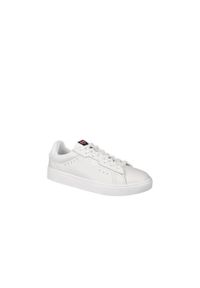 Buty do chodzenia męskie Colmar Bates. Zapięcie: sznurówki. Kolor: biały. Materiał: guma, skóra, tkanina, materiał, syntetyk. Szerokość cholewki: normalna. Sport: turystyka piesza