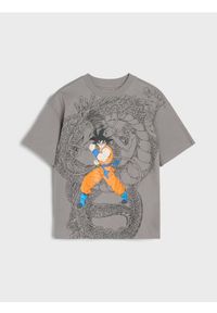 Sinsay - Koszulka DragonBall - szary. Kolor: szary