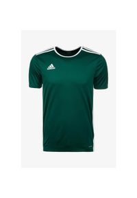 Adidas - Koszulka do piłki nożnej męska adidas Entrada 18 Jersey. Kolor: zielony, biały, wielokolorowy. Materiał: jersey