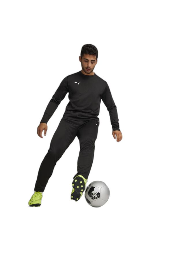 Spodnie treningowe Puma Teamgoal. Kolor: czarny, wielokolorowy, biały. Sport: piłka nożna