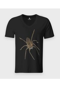 MegaKoszulki - Koszulka męska v-neck Spider 3D. Materiał: skóra, bawełna, materiał. Styl: klasyczny #1
