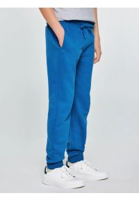 Big-Star - Spodnie chłopięce dresowe niebieskie Lamenp 402. Okazja: na co dzień, na uczelnię. Kolor: niebieski. Materiał: dresówka. Wzór: haft. Styl: sportowy, casual, młodzieżowy #6