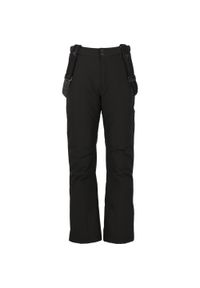 Spodnie narciarskie dla kobiet Whistler Portivo W-Pro 8000. Kolor: czarny. Sezon: zima. Sport: narciarstwo #1