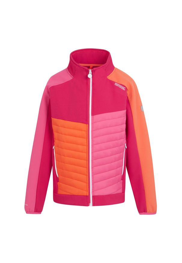 Regatta - Kurtka Dziecięca Brynden Padded Full Zip Soft Shell Jacket. Kolor: różowy