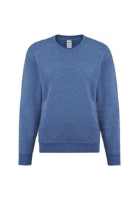 FRUIT OF THE LOOM - Sportowa Bluza Dziecięca Zwykła. Kolor: niebieski. Wzór: nadruk