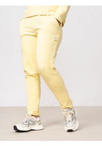 outhorn - Spodnie dresowe damskie. Materiał: dresówka #8