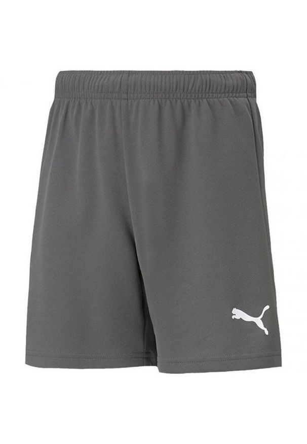 Puma - Spodenki TeamRISE Dla Dzieci. Kolor: szary. Styl: sportowy. Sport: turystyka piesza
