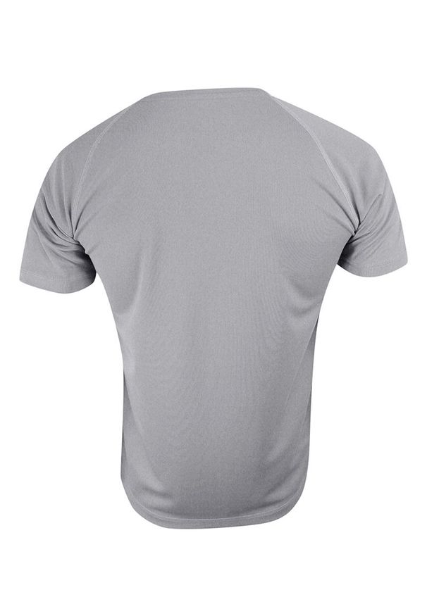 Szary t-shirt Stedman sportowy, raglanowy rękaw
