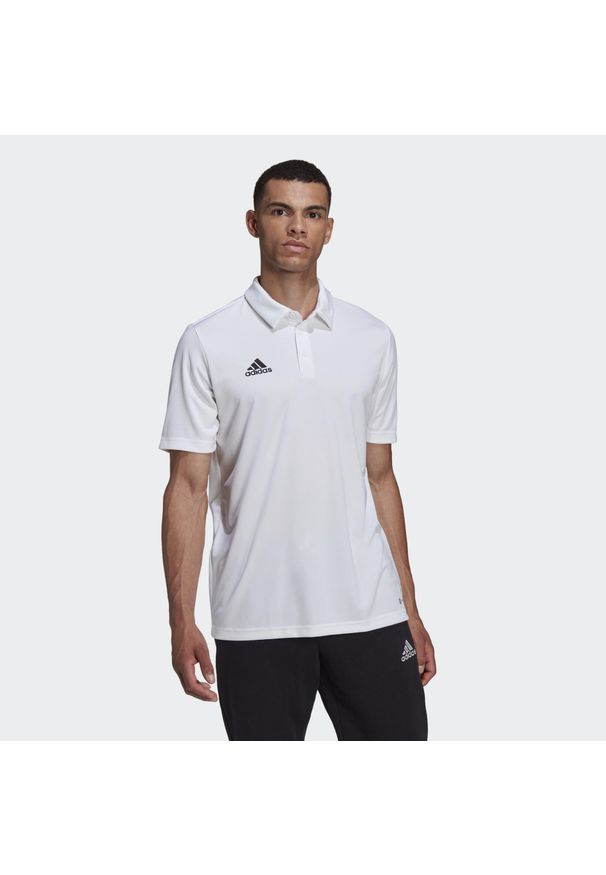 Koszulka polo do piłki nożnej męska Adidas Entrada 22 Polo z krótkim rękawem. Typ kołnierza: polo. Kolor: biały. Długość rękawa: krótki rękaw. Długość: krótkie