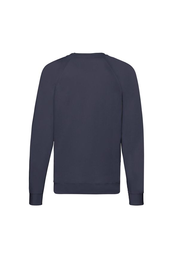 FRUIT OF THE LOOM - Lekki Męski Sweter Raglanowy. Kolor: niebieski. Długość rękawa: raglanowy rękaw