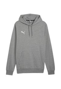 Bluza sportowa męska Puma B23611. Typ kołnierza: kaptur. Kolor: wielokolorowy, szary