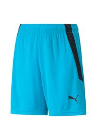 Szorty dla dzieci Puma Team Liga. Kolor: niebieski, wielokolorowy, czarny. Styl: sportowy #1