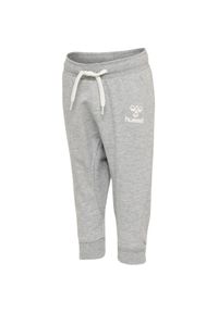 Spodnie dresowe dla dzieci Hummel hmlAPPLE. Kolor: szary. Materiał: dresówka. Sport: bieganie