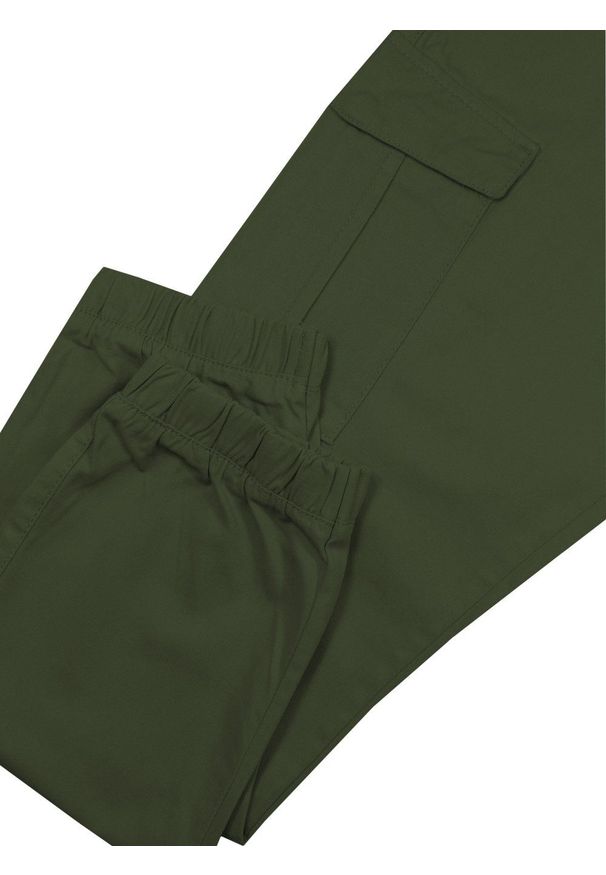 Brave Soul - Spodnie JOGGERY Zielone, Khaki, Męskie, Bojówki, Bawełniane, Casualowe, Zwężana Nogawka -BRAVE SOUL. Okazja: na co dzień. Kolor: brązowy, zielony, wielokolorowy. Materiał: bawełna. Styl: casual