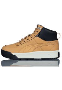 Buty Sportowe Męskie Puma Tarrenz Sb Puretex. Kolor: brązowy