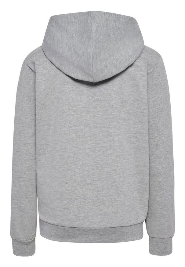 Bluza z kapturem dla dzieci Hummel Proud. Typ kołnierza: kaptur. Kolor: szary. Materiał: bawełna