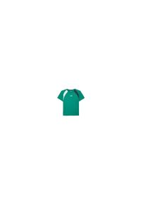Koszulka tenisowa męska z krótkim rękawem Diadora SS T-Shirt. Kolor: zielony, biały, wielokolorowy, niebieski, czarny. Długość rękawa: krótki rękaw. Długość: krótkie. Sport: tenis #1
