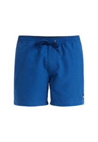 Quiksilver - Szorty kąpielowe dla Mężczyzn EVERYDAY DELUXE 15". Kolor: niebieski. Materiał: poliester, materiał. Styl: sportowy