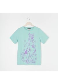 Sinsay - Koszulka z nadrukiem Scooby Doo - Turkusowy. Kolor: turkusowy. Wzór: nadruk