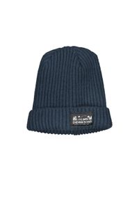 Czapka dla dzieci Didriksons Bus Beanie. Kolor: niebieski