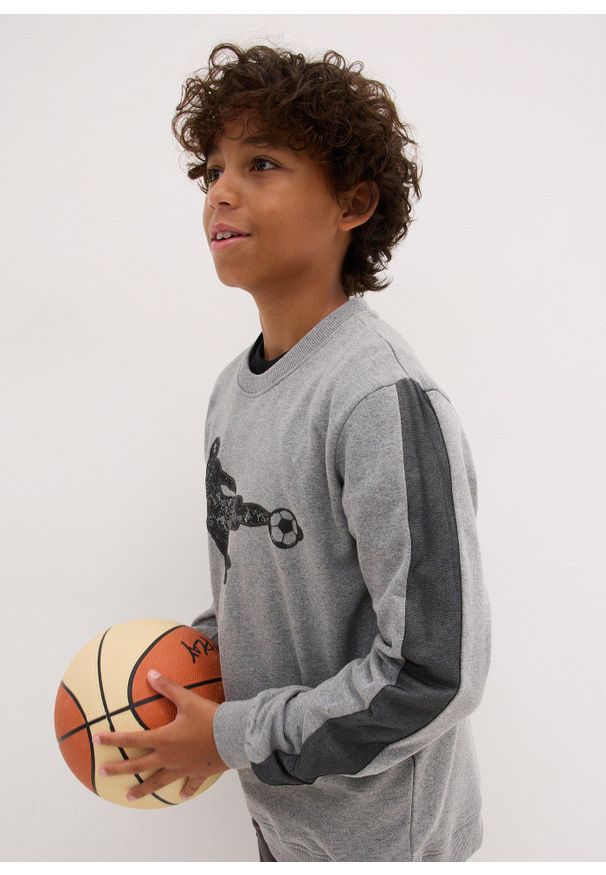 bonprix - Bluza z miękkiej mieszanki bawełny. Kolor: szary. Materiał: bawełna. Wzór: nadruk